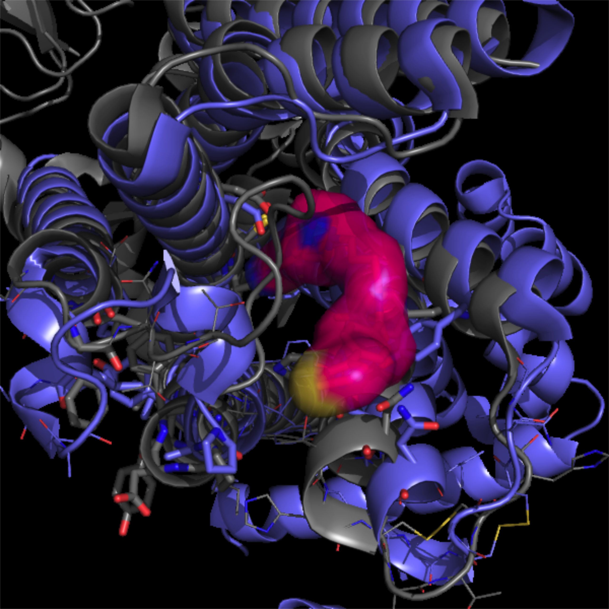 receptor and molecule