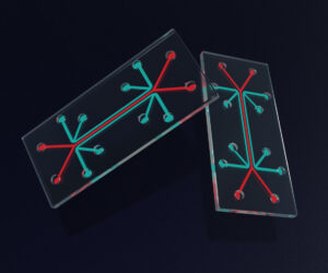 microfluidic chip is a set of micro-channels etched or molded into a glass materia